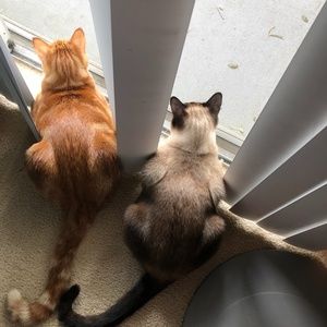 Meet your Posher, MM